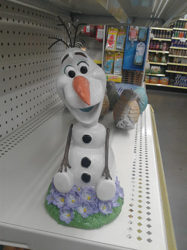 Home Goods Store «Dollar General», reviews and photos, 14627 County Rd 565A, Groveland, FL 34736, USA