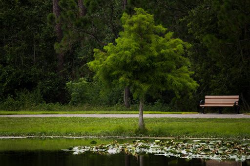 Park «Eagle Nest Park», reviews and photos, 5165 Metrowest Blvd, Orlando, FL 32811, USA