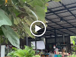 ร้านก๋วยจั๊บท่าโขลง