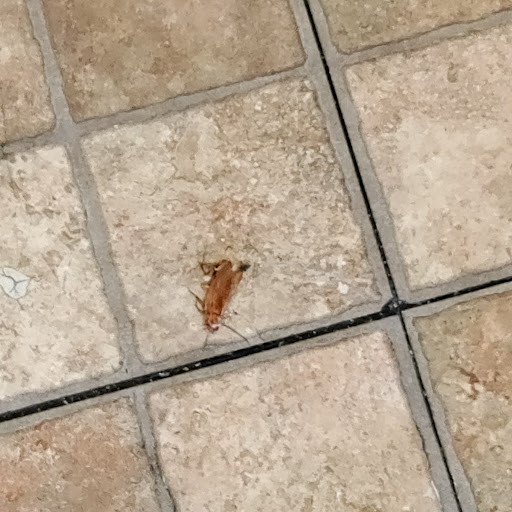 Donut Shop «Donut Factory», reviews and photos, 790 Jackson St, Hayward, CA 94544, USA