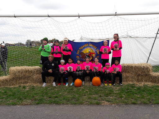 Park «Cyntheanne Park», reviews and photos, 12383 Cyntheanne Rd, Fishers, IN 46037, USA