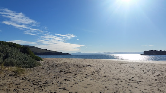 Cremorne Beach
