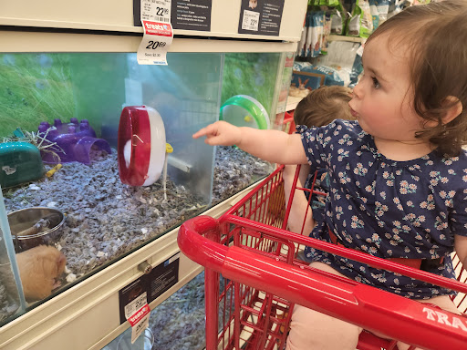 Pet Supply Store «PetSmart», reviews and photos, 1520 Pleasant Valley Rd, Manchester, CT 06042, USA