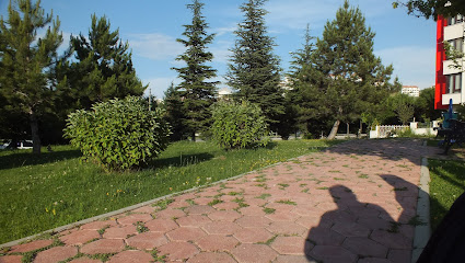 Ali Çetinkaya Parkı