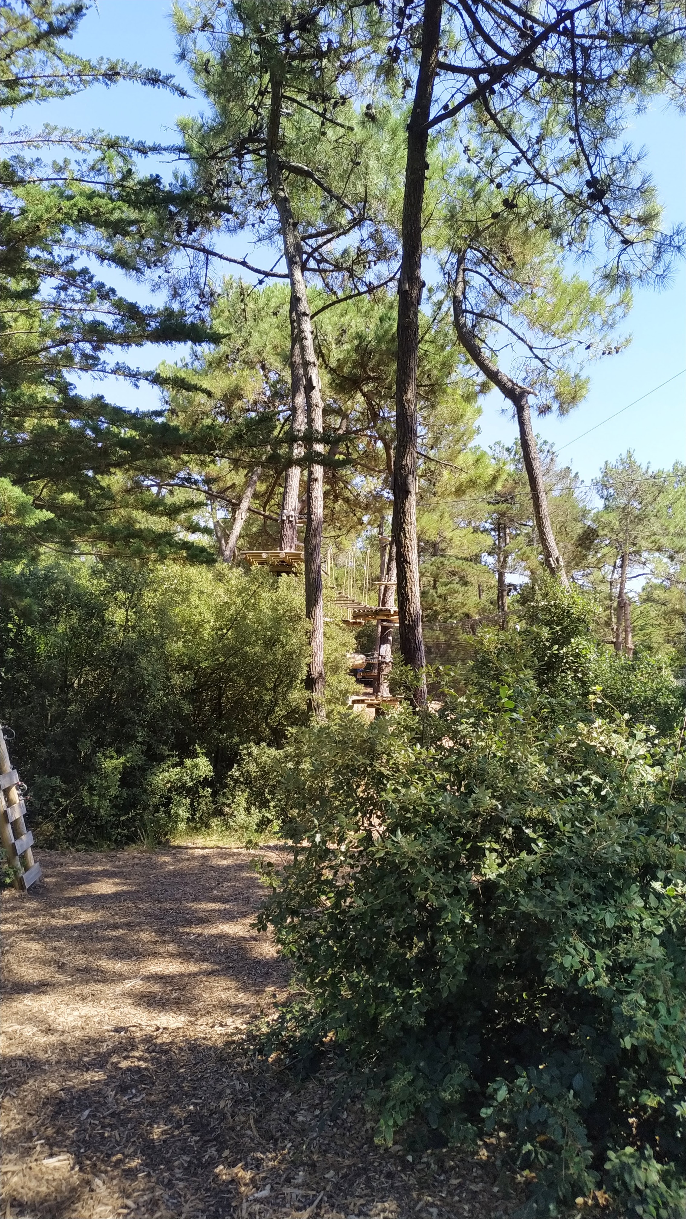 Photo n° 8 de l'avis de Sam.a fait le 30/07/2020 à 17:04