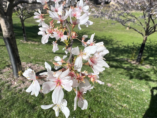 State Park «White River State Park», reviews and photos, 801 W Washington St, Indianapolis, IN 46204, USA