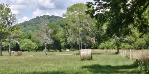 Tourist Attraction «Adventureworks Zipline Forest», reviews and photos, 4129 Whites Creek Pike, Whites Creek, TN 37189, USA