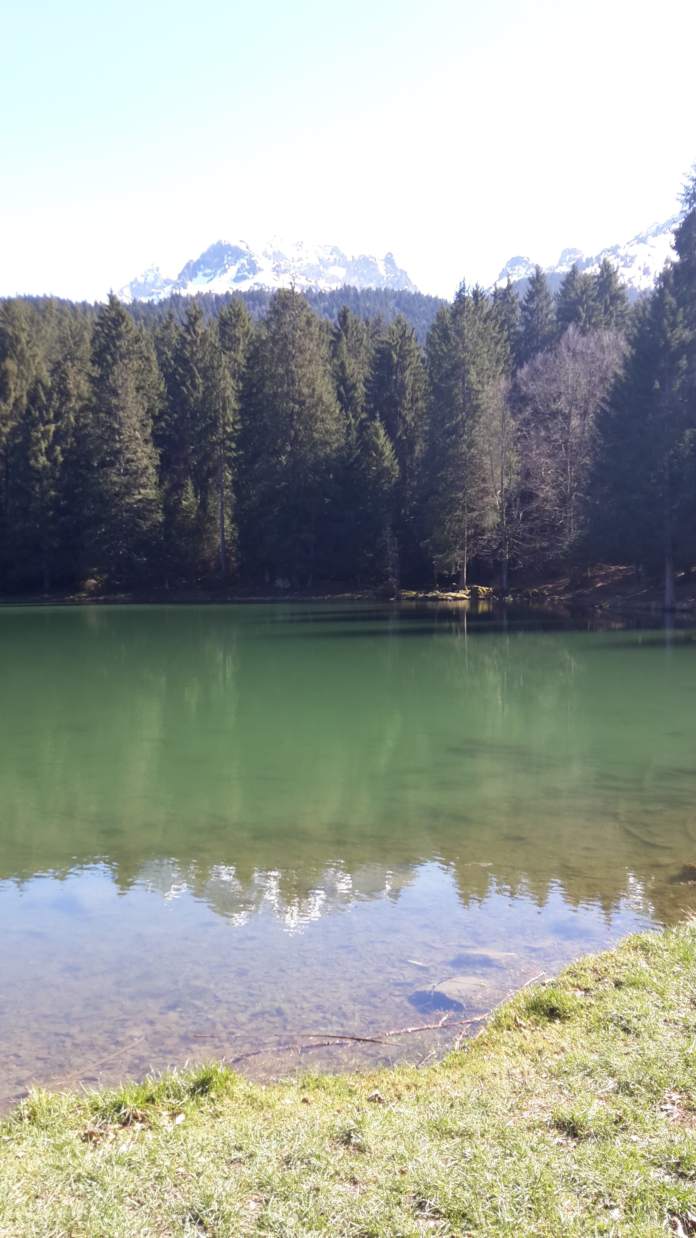 Photo n° 8 de l'avis de Bruce.c fait le 15/03/2020 à 19:13