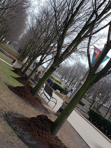 Cultural Center «Chicago Cultural Center», reviews and photos, 78 E Washington St, Chicago, IL 60602, USA