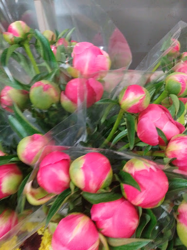 Florist «The Flower Place», reviews and photos, 860 NE 79th St, Miami, FL 33138, USA