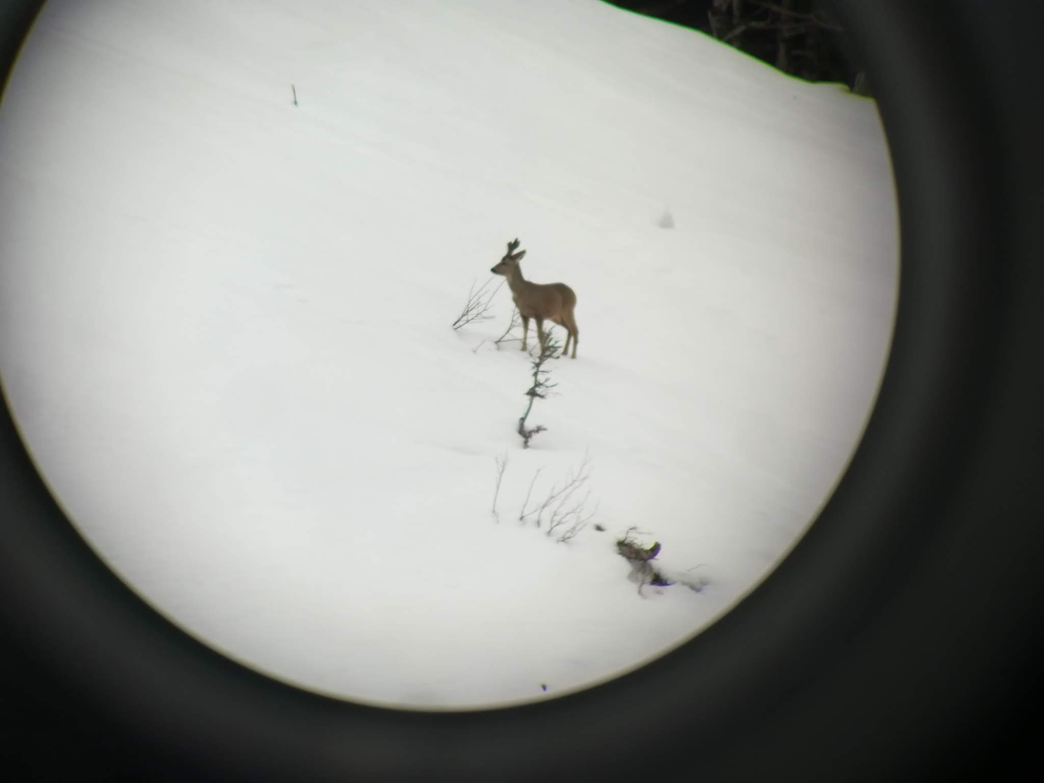 Photo n° 17 de l'avis de Chantal.e fait le 22/02/2018 à 14:07
