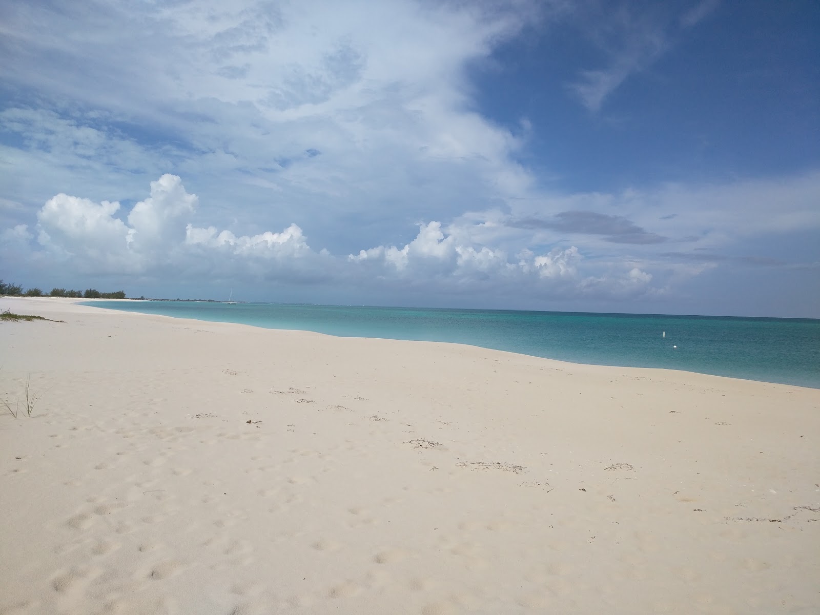 Fotografie cu Pine Cay beach - locul popular printre cunoscătorii de relaxare