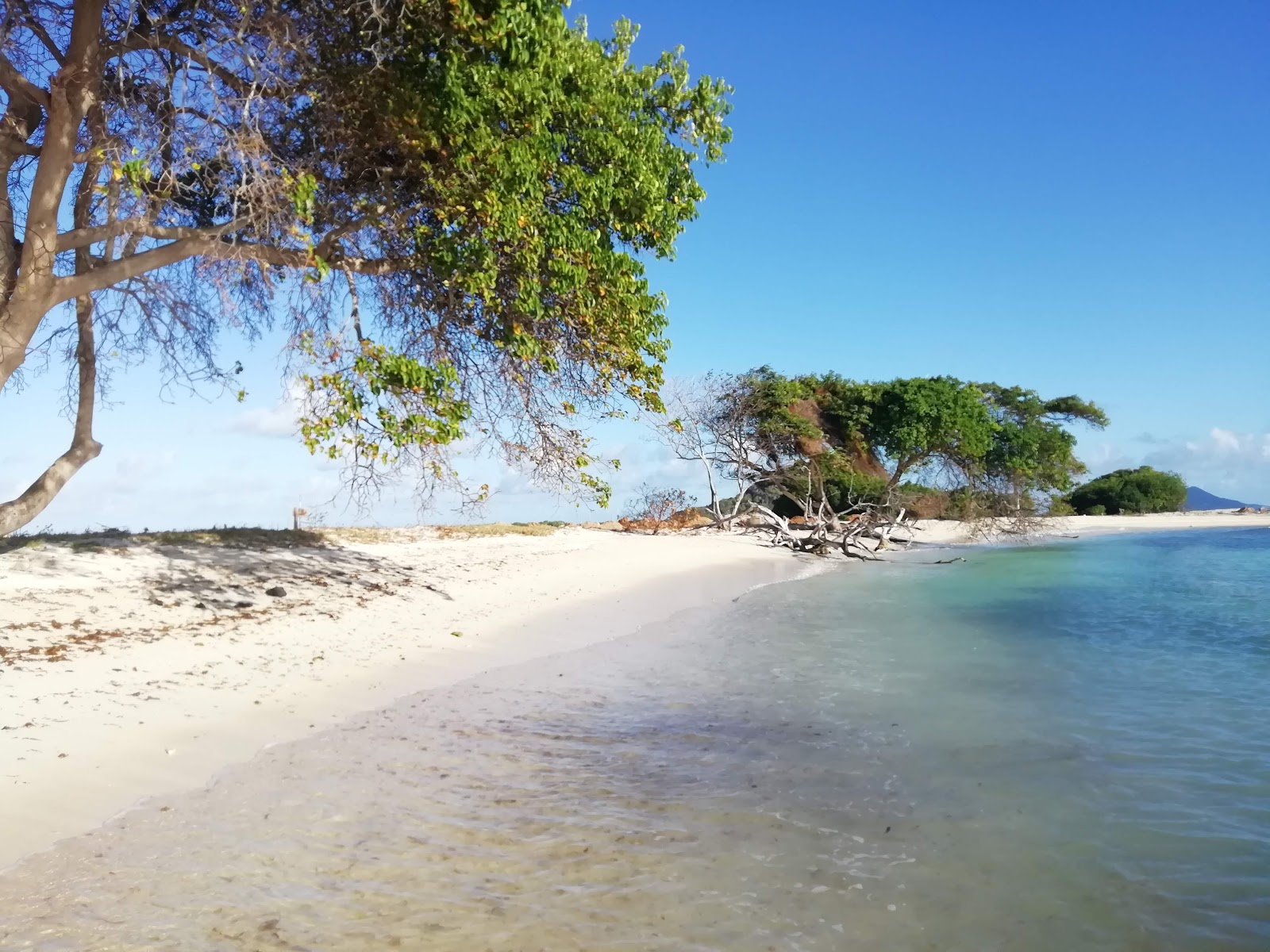 Fotografija Cambel path beach z svetel pesek površino