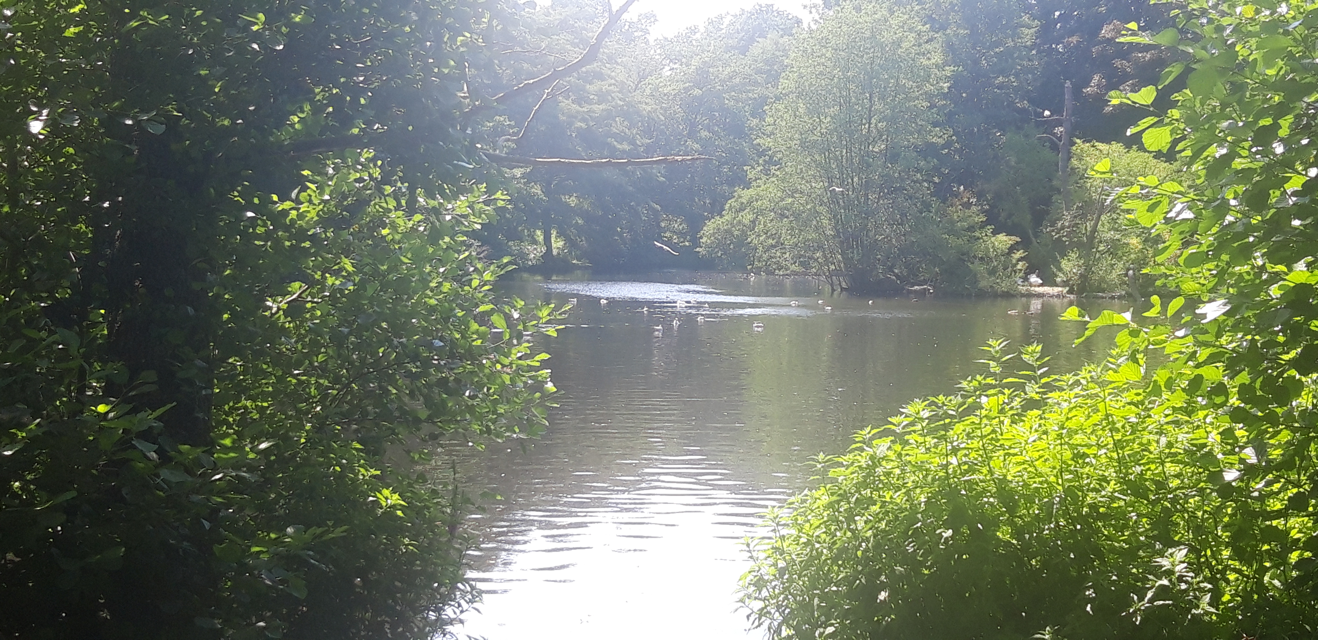 Photo n° 1 de l'avis de Marc.A fait le 20/07/2021 à 16:37