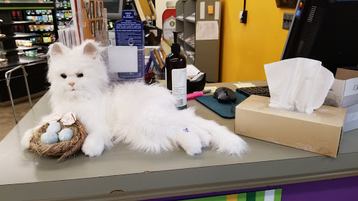 Grocery Store «Abundance Cooperative Market», reviews and photos, 571 South Ave, Rochester, NY 14620, USA