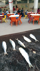 Agrupamento de Escolas Pêro Vaz de Caminha, Porto