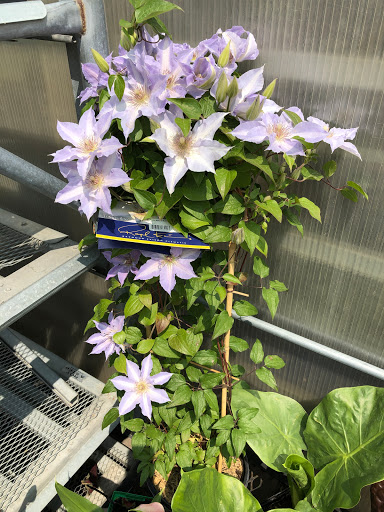 Hardware Store «Hardware Hank», reviews and photos, 1017 Central Ave NW, East Grand Forks, MN 56721, USA