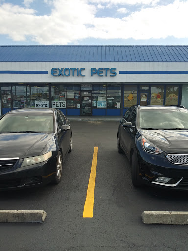 Pet Store «Fosters Exotic Pet Center», reviews and photos, 40116 US Hwy 19 N, Tarpon Springs, FL 34689, USA