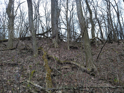 Nature Preserve «Bow in the Clouds Preserve», reviews and photos, 1805 Nazareth Rd, Kalamazoo, MI 49048, USA