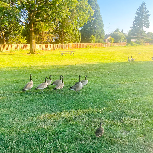 Park «Commonwealth Lake Park», reviews and photos, SW Butner Rd & SW Huntington Ave, Cedar Hills, OR 97225, USA