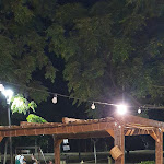 Photo n°5 de l'avis de Federico.a fait le 20/08/2023 à 19:53 sur le  Rifugio Urbano Parco della Liberta’ à Montesilvano