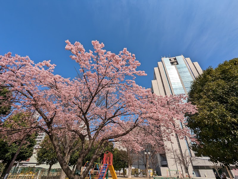 足立区立中央公園