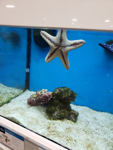 Pet Supply Store «Petco Animal Supplies», reviews and photos, 1885 S Randall Rd, Geneva, IL 60134, USA