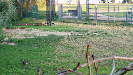 Park «West Harbor Beach Memorial Park - Village Of Bayville», reviews and photos, 10 West Harbour Drive, Bayville, NY 11709, USA