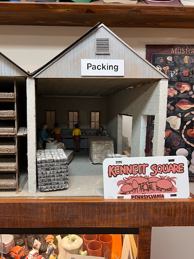 Gift Shop «The Mushroom Cap», reviews and photos, 114 W State St, Kennett Square, PA 19348, USA