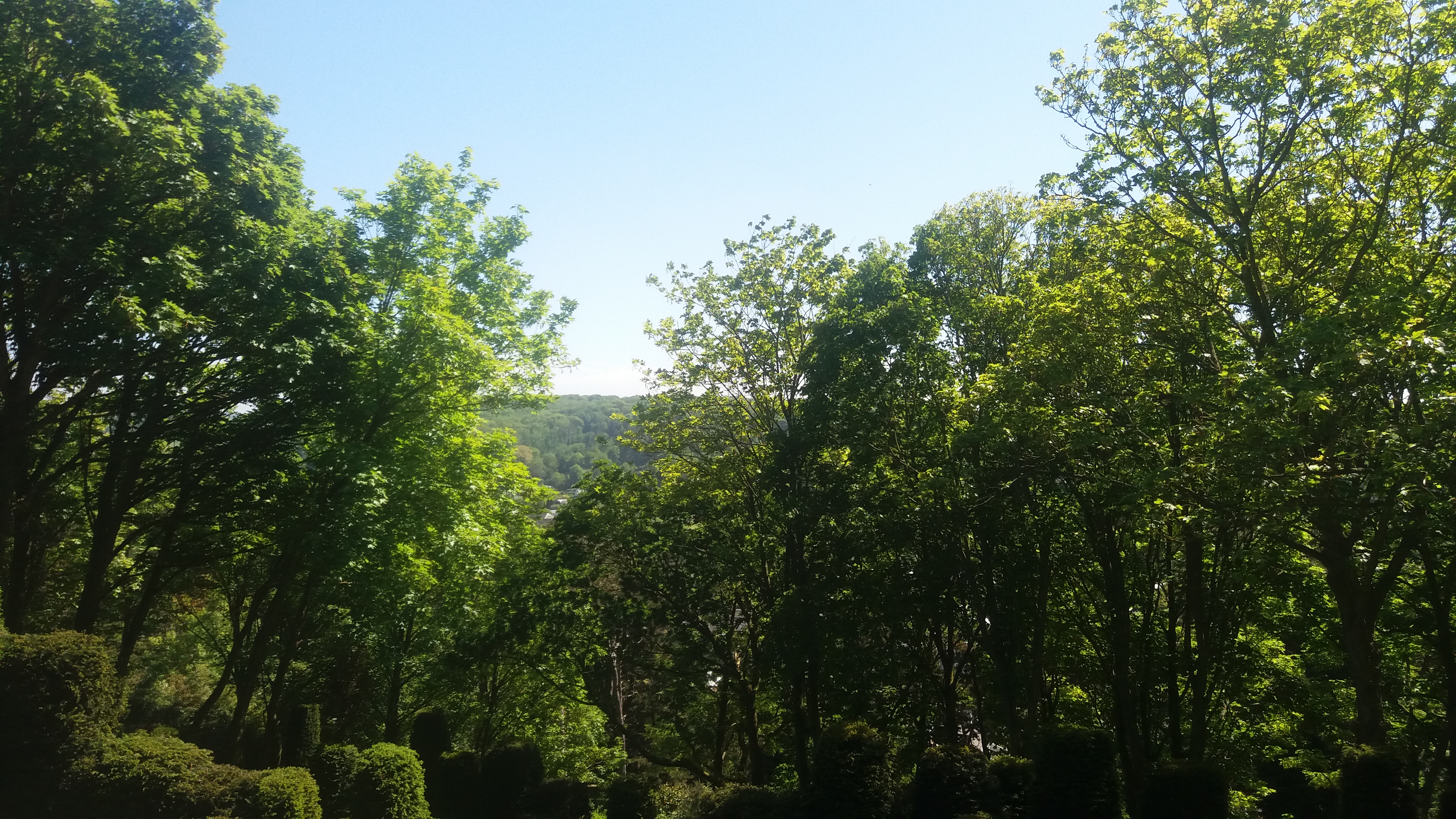 Photo n° 6 de l'avis de Chloé. fait le 13/06/2018 à 10:52
