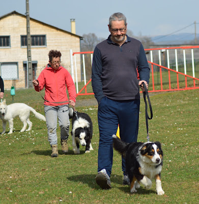 Club Canin Cantalien Reilhac à Reilhac