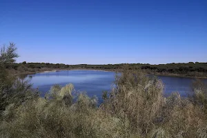 Laguna de El Portil image