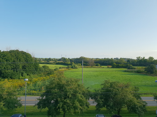 Hotel «RIT Inn & Conference Center», reviews and photos, 5257 W Henrietta Rd, Henrietta, NY 14467, USA