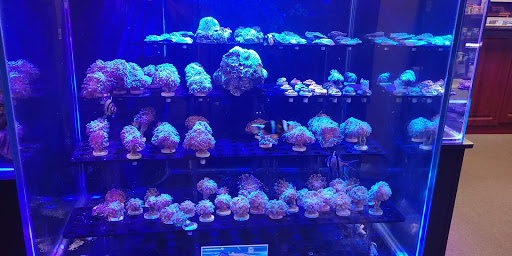 Tropical Fish Store «America Aquaria», reviews and photos, 3485 N 124th St, Brookfield, WI 53005, USA