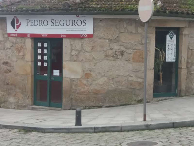 Pedro Seguros - Agência de seguros