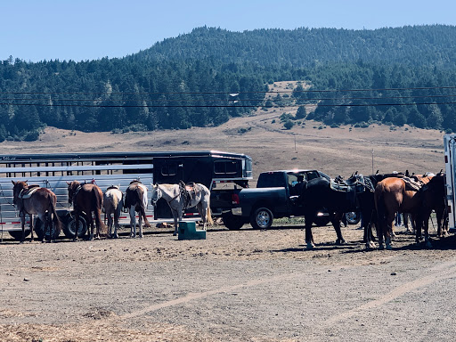 Stable «Ross Ranch», reviews and photos, 28300 Philo Greenwood Rd, Elk, CA 95432, USA