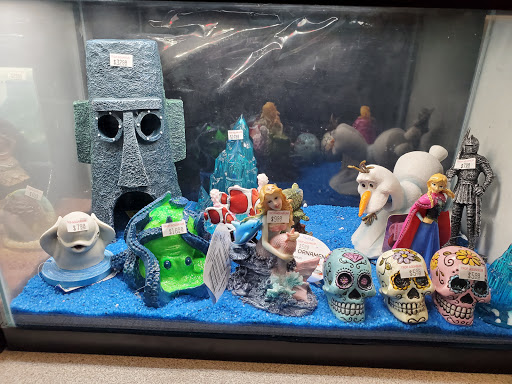 Tropical Fish Store «Trop Aquarium», reviews and photos, 3125 E Tropicana Ave D, Las Vegas, NV 89121, USA