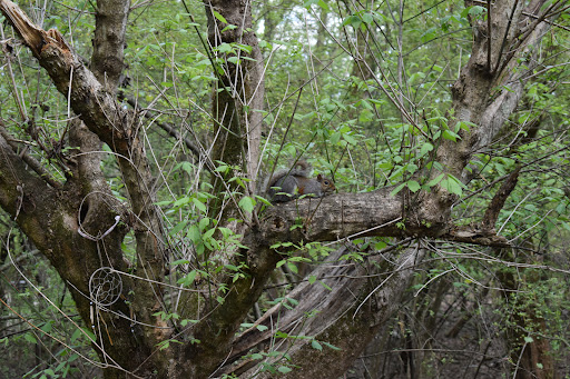 Park «Big Creek Park», reviews and photos, 1600 Old Alabama Rd, Roswell, GA 30076, USA