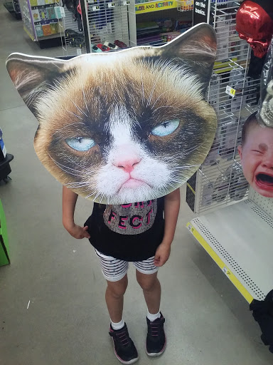 Discount Store «Dollar General», reviews and photos, 202 W Jackson St, Farmland, IN 47340, USA