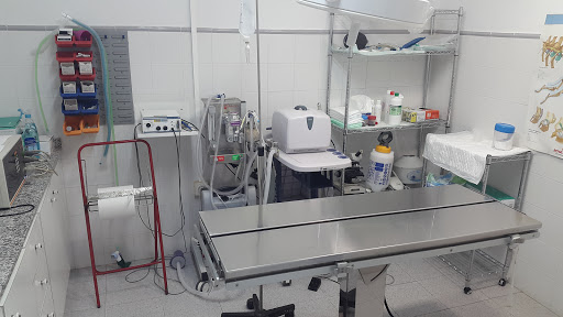 Clínica Veterinaria Ambra en Pego