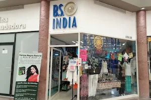 BS INDIA image