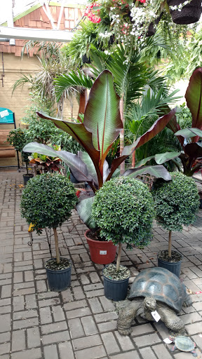 Florist «James Saunoris & Sons», reviews and photos, 6000 W 111th St, Chicago Ridge, IL 60415, USA