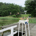 Photo n°28 de l'avis de Dieter. fait le 12/09/2023 à 06:47 sur le  Seehotel Ichlim à Lärz