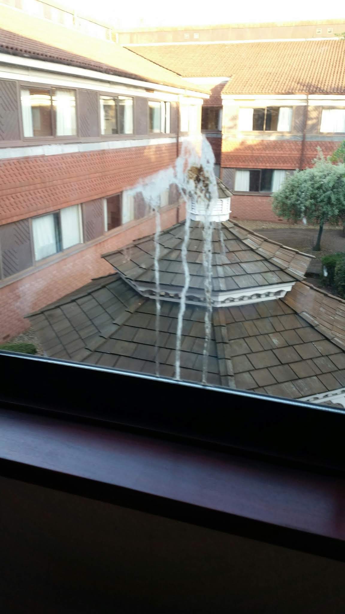 Photo n° 4 de l'avis de Mathilde.u fait le 24/05/2018 à 16:02