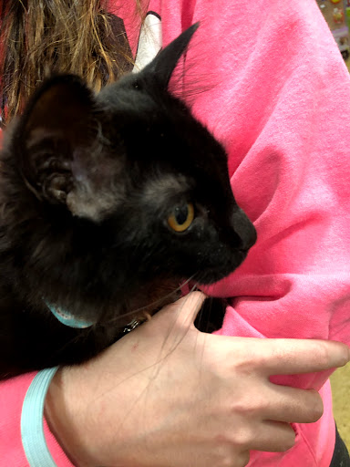 Pet Supply Store «PetSmart», reviews and photos, 130 Junction Drive, Glen Carbon, IL 62034, USA