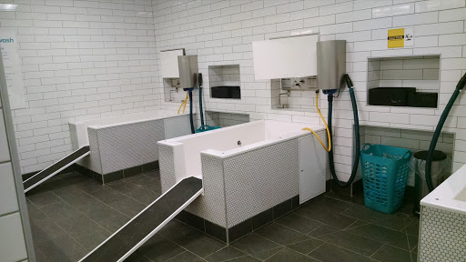 Pet Store «PetSmart», reviews and photos, 267 Berlin Turnpike, Berlin, CT 06037, USA