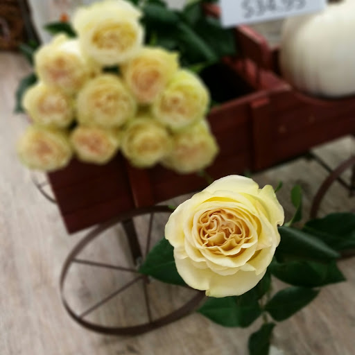 Florist «Blissful Blooms Floral», reviews and photos, 17 East Ave, Monroe, OH 45050, USA