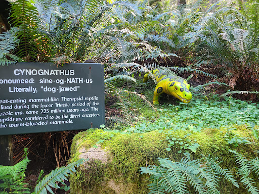 Tourist Attraction «Prehistoric Gardens», reviews and photos, 36848 US-101, Port Orford, OR 97465, USA