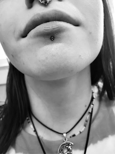 Explore silly goose tattoo ideas, creative tattoo ideas in Warrensburg, available at Altered Visions Tattoo Studio