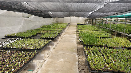 Eikenhoff Orchid Nursery - Stanford